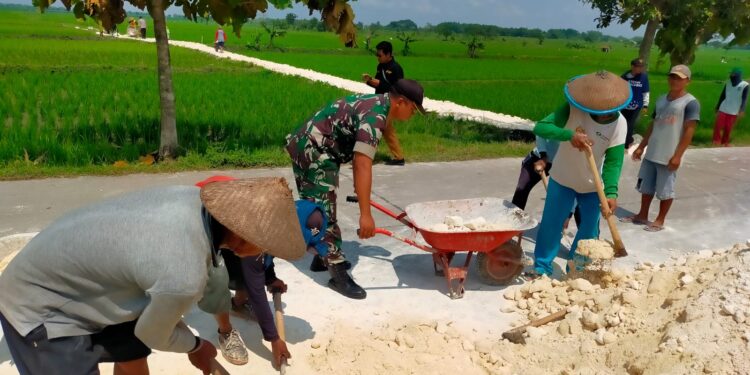 Babinsa Kuwurejo Permudah Aktifitas para Petani