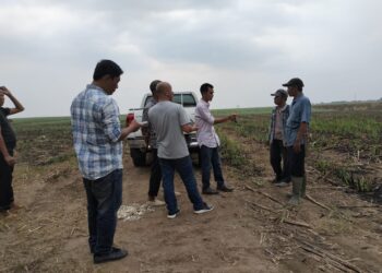 Miris ! Diduga Oknum TNI AL Kimal Lampung Serobot Tanah Masyarakat