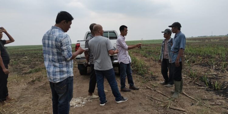 Miris ! Diduga Oknum TNI AL Kimal Lampung Serobot Tanah Masyarakat
