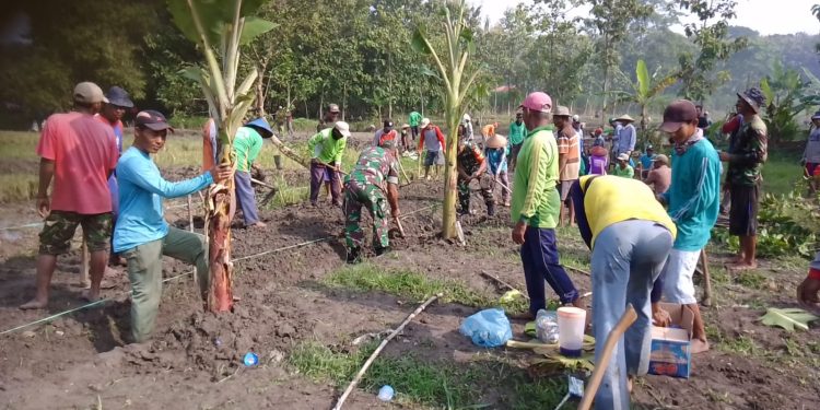 Kamis Bersinergi, Koramil Modo Bikin Parit Bareng Warga