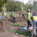 Kamis Bersinergi, Koramil Modo Bikin Parit Bareng Warga