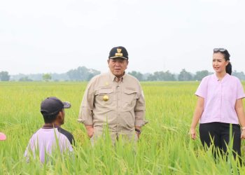 Gubernur Arinal Djunaidi Tinjau Lahan Pertanian di Kabupaten Lampung Tengah