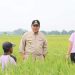 Gubernur Arinal Djunaidi Tinjau Lahan Pertanian di Kabupaten Lampung Tengah