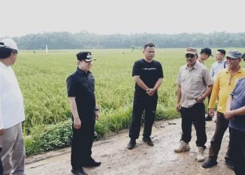 Pj.Bupati Pringsewu Marindo Kurniawan Tinjau Jalan Rusak di Kecamatan Banyumas