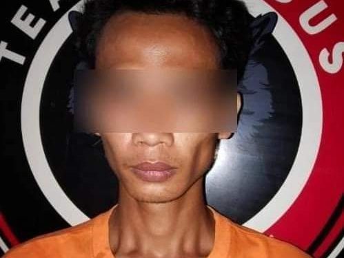 Polsek Terusan Nunyai Amankan Pelaku Pencurian Nanas di PT. GGP