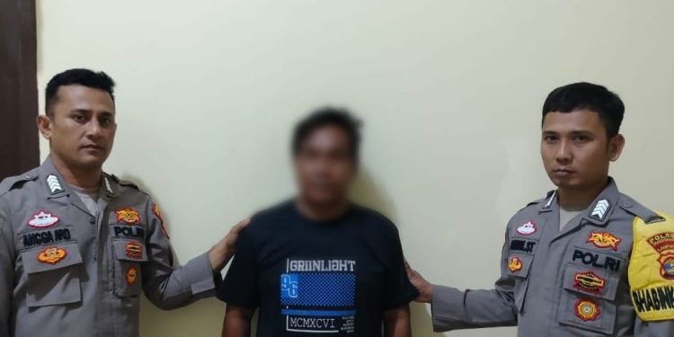 Bawa Kabur Hingga Dugaan Cabul Anak Bawah Umur Seorang Sopir Truk Di Amankan Polres Tanggamus