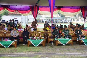TMMD kali ini dilaksanakan di Desa Sungai Badak, Kecamatan Mesuji.(Advetorial)