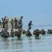 Operasi Hantai Marinir Gabungan Indonesia Dan Amerika Berhasil Pertahankan Pantai Ketapang