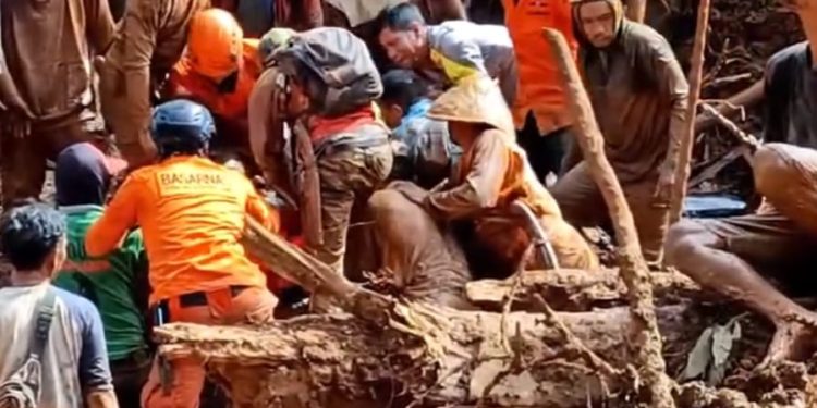 Korban Longsor di Perkebunan Saung Naga Ulu Belu Tanggamus Di Temukan