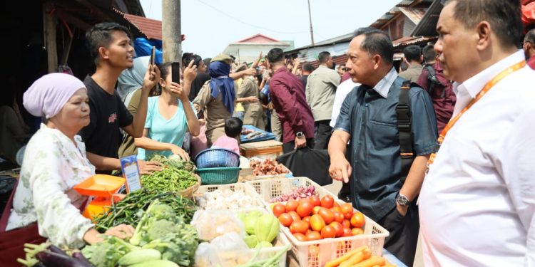 Mendagri Tito Interaksi dengan Pedagang, Cek Harga di Pasar Senggol Dumai