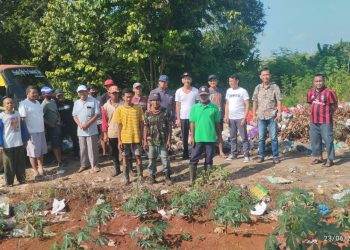 Pembersihan TPS di Kelurahan Rejosari, Lampung Utara.   Kadis DLH Ina Sulistya Achyar sigap Menurunkan Team Armada Sampah 3 Unit