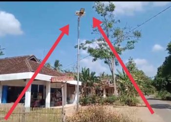DBH Tidak Kunjung Terealisasi,PT.MTO Menjadi Satu Korban Atas Kebijakan Pemerintah Daerah Lampura Harus Mengalami Kerugian Puluhan Juta Rupiah