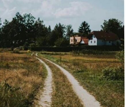 Pekon Kebuayaian Perbaiki Akses Jalan dan Bagikan Bibit Alpukat