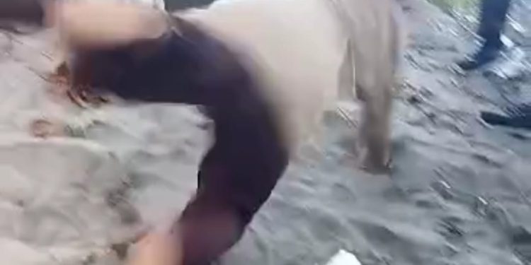 Siswa SMP N 1 Pematang Sawa Jadi Korban Perundungan,Polisi Di Minta Tindak Pelaku