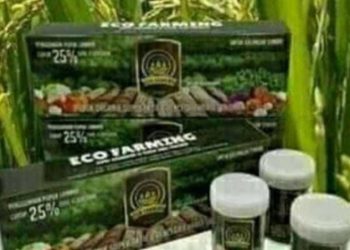 Pekon Way Nukak Bagikan BLT-DD dan Obat Padi
