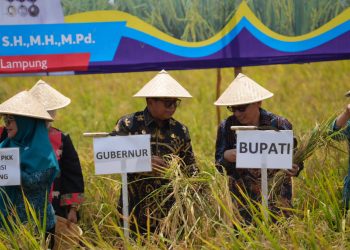 Penjabat Gubernur Lampung Melaksanakan Kunjungan Kerja Ke Kabupaten Mesuji
