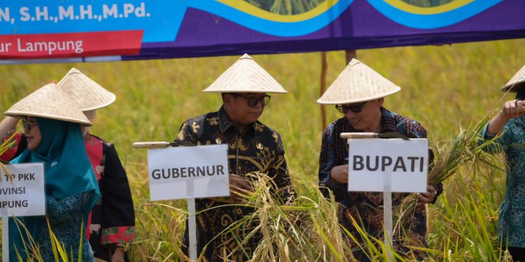 Penjabat Gubernur Lampung Melaksanakan Kunjungan Kerja Ke Kabupaten Mesuji