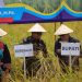 Penjabat Gubernur Lampung Melaksanakan Kunjungan Kerja Ke Kabupaten Mesuji