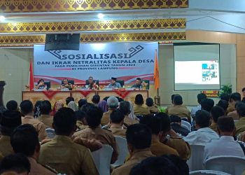 Kades dan ASN Dapat Terjerat Pidana Bila Terlibat Politik Praktis, Ini Kata Bawaslu!