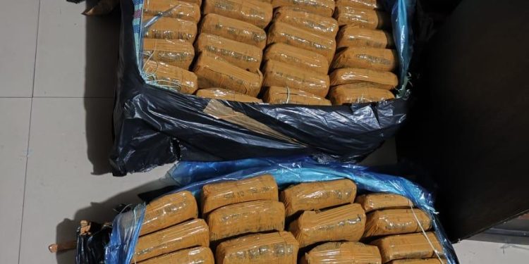 Perang Melawan Narkoba, Kapolda Lampung Tegaskan Komitmen Tanpa Kompromi