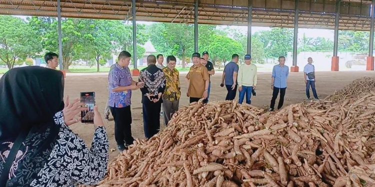 Orang Penting di Lampung Utara Ikut Bahas Harga Singkong Pada Reses Komisi IV DPR-RI