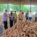Orang Penting di Lampung Utara Ikut Bahas Harga Singkong Pada Reses Komisi IV DPR-RI