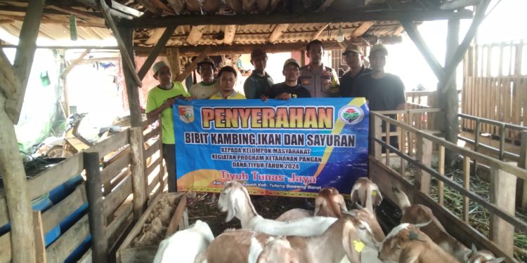 Desa Tunas Jaya Gunung Agung Tubaba Realisasikan Dana Desa 2024 Rp.1,18 Miliar