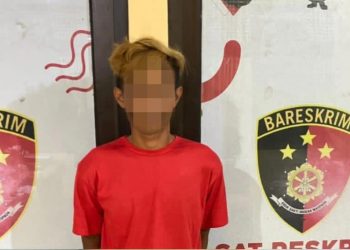 Polres Tubaba Tangkap Pelaku Persetubuhan dan atau pencabulan Anak Di Bawah Umur