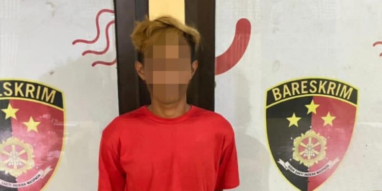 Polres Tubaba Tangkap Pelaku Persetubuhan dan atau pencabulan Anak Di Bawah Umur