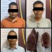 Tebang dan Curi Kayu Akasia, 3 Pria Ini Diamankan Oleh Tekab 308 Presisi Polres Metro