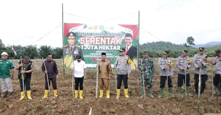 Penanaman Jagung Serentak Satu Juta Hektar di Empat Lawang, Dukung Ketahanan Pangan Nasional