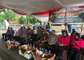 Penanaman Jagung Serentak 1 Juta Hektar: Wujud Nyata Program Ketahanan Pangan