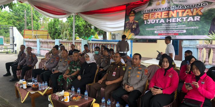 Penanaman Jagung Serentak 1 Juta Hektar: Wujud Nyata Program Ketahanan Pangan