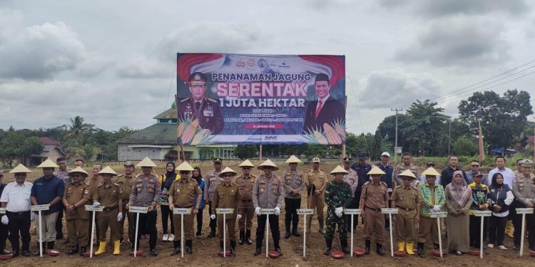 PJ BUPATI MESUJI FEBRIZAL LEVI SUKMANA RESMI LUNCURKAN PENANAMAN JAGUNG SERENTAK 1 JUTA HEKTAR