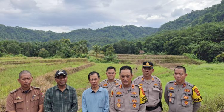 Dukung Ketahanan Pangan, Kapolres Lampung Utara Cek Lokasi Lahan Yang Akan Ditanami Jagung