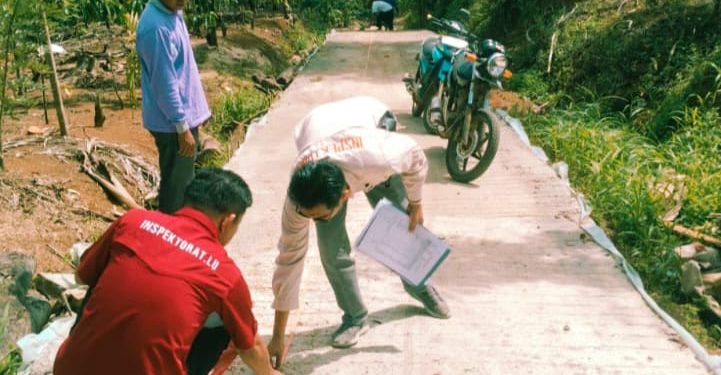 Desa Sumber Tani Dan Way Melan Diperiksa Inspektorat, Berikut Keterangan Kadesnya