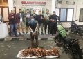 Tekab 308 Presisi Polres Tulang Bawang Tangkap Pelaku Spesialis Curat Kabel PLN Yang Merupakan DPO dan Residivis