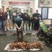 Tekab 308 Presisi Polres Tulang Bawang Tangkap Pelaku Spesialis Curat Kabel PLN Yang Merupakan DPO dan Residivis