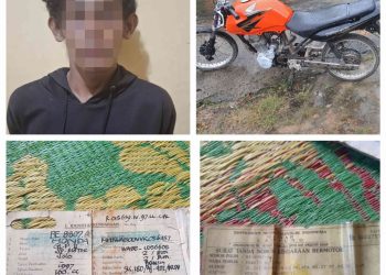 Tekab 308 Presisi Polres Tulang Bawang Barat Berhasil Ungkap Kasus Curat, Pelaku Diamankan