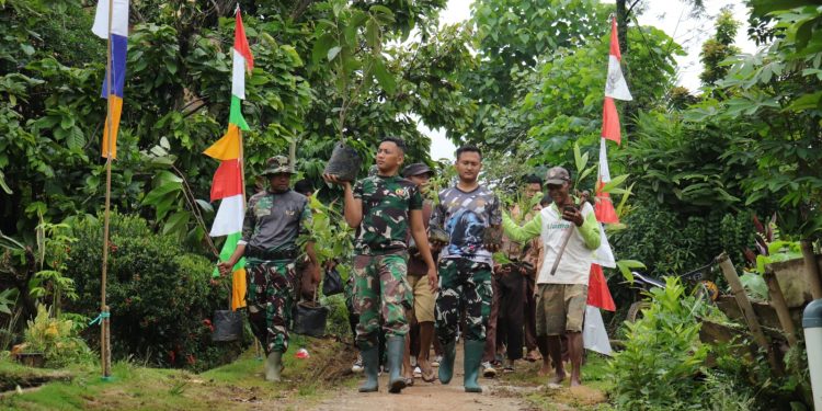 Pohon Pinang dan Pohon Duren Jadi Idola Tanaman Warga Subik bersama TMMD ke 123 Kodim 0412/LU