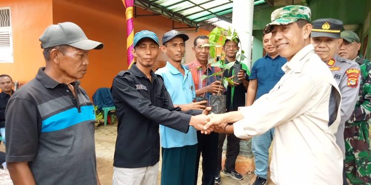 Gapoktan Maju Bersama Desa Kembang Tanjung Bagikan Bibit Kakao untuk Warga