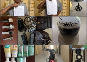Tekab 308 Presisi Polres Tubaba Berhasil Ungkap Kasus Curat, Dua Orang Pelaku Diamankan