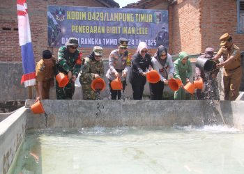 TNI dan Pemda Lampung Timur Hadirkan Solusi Air Bersih Lewat TMMD ke-124
