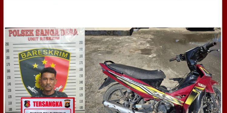 Otak Pelaku Penodongan di Keban 1 Diamankan Polsek Sanga Desa