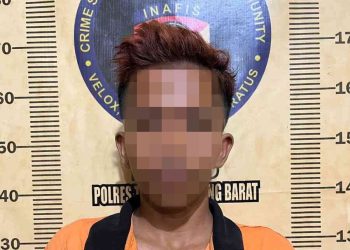 Pelaku Pembobol Warung Diringkus Tekab 308 Presisi Sat Reskrim Polres Tulang Bawang Barat