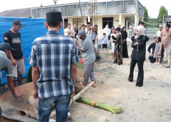 Hari Raya Idul Adha 1446 H, Polres Tulang Bawang Sembelih 15 Ekor Hewan Kurban
