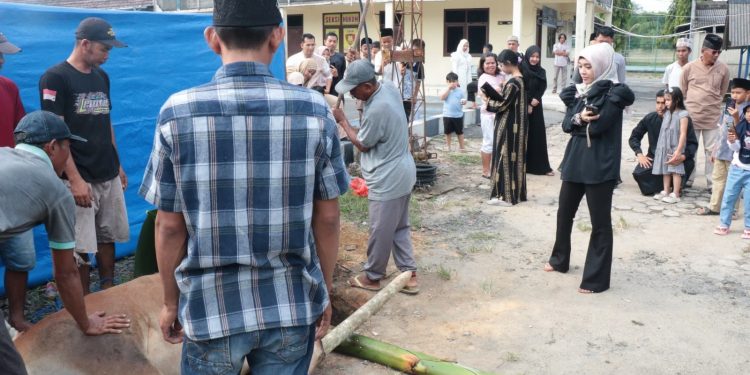 Hari Raya Idul Adha 1446 H, Polres Tulang Bawang Sembelih 15 Ekor Hewan Kurban