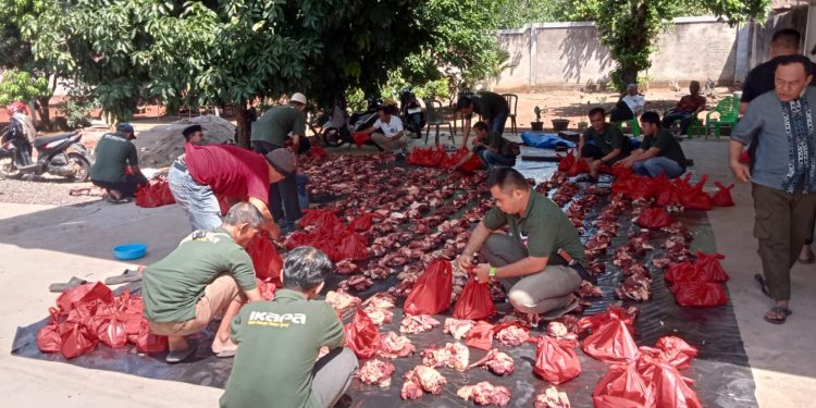 Ikatan Keluarga Pakuon Agung (IKAPA) berqurban 12 Djulhijah 1446 H