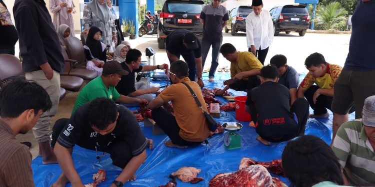 ATR/BPN Kabupaten Mesuji Salurkan Satu Ekor Sapi Kurban