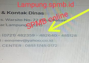 Kontak SPMB Lampung Diduga PHP, Gubernur Mirzani Diminta Membina Kadis Pendidikan Provinsi